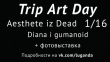 Material gallery slide.